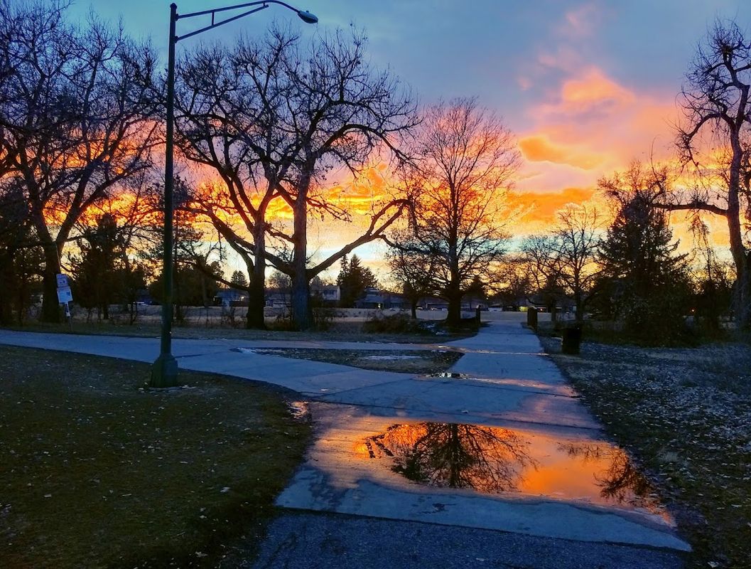 Cook Park