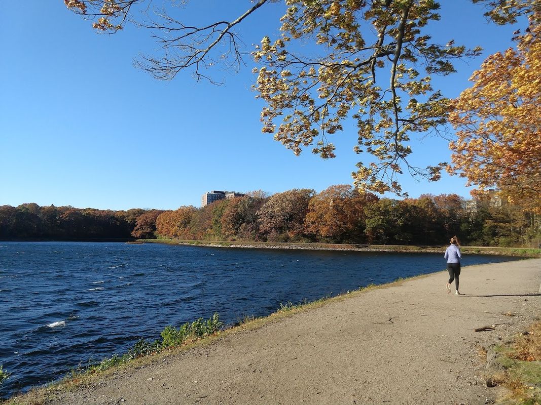 Chestnut Hill Reservoir Park