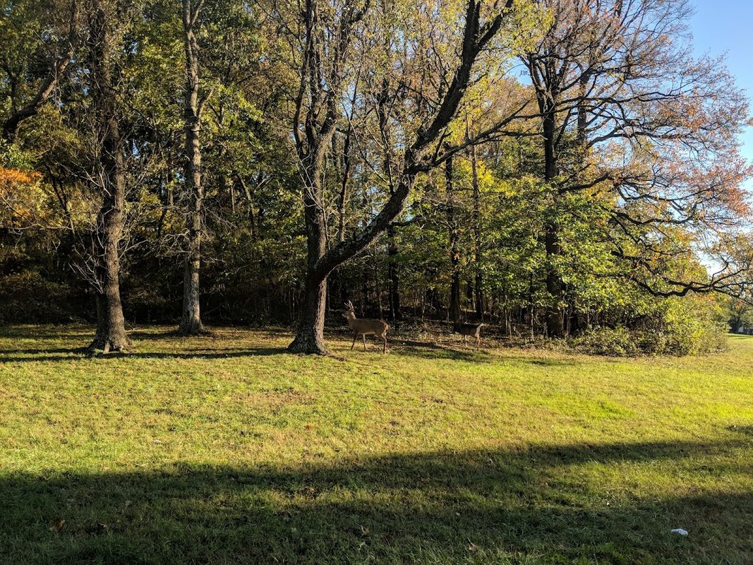 Fort Totten Park
