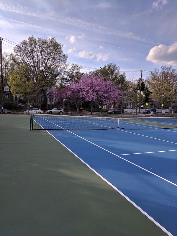 Hardy Park Tennis Courts