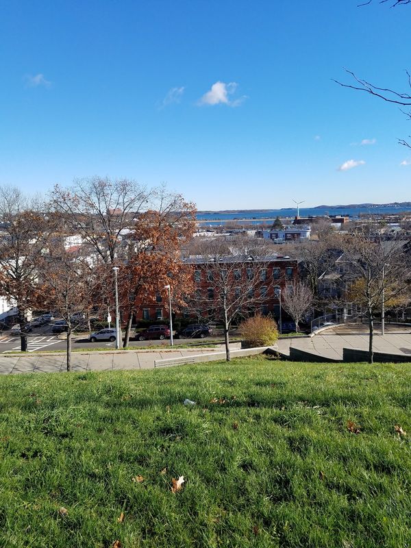 Ronan Park