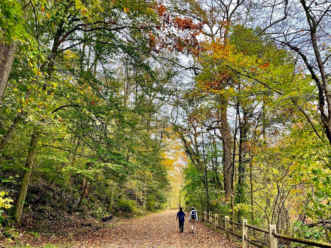 Wissahickon Valley Park (various)