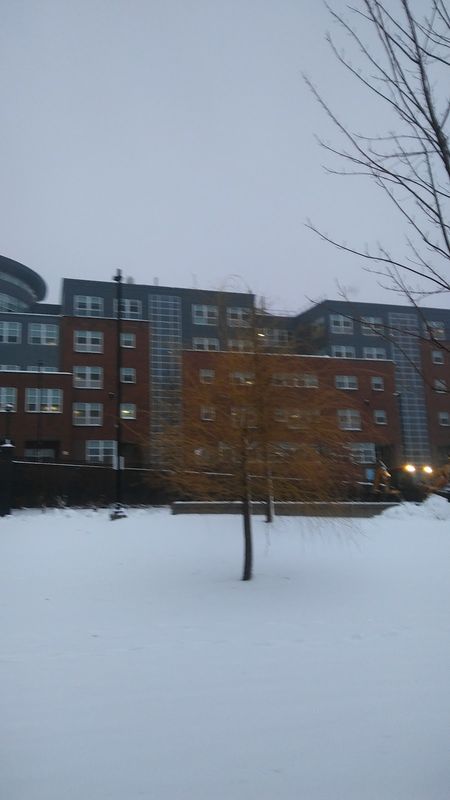 Everett High School