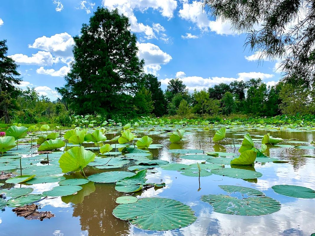 Kenilworth Park & Aquatic Gardens