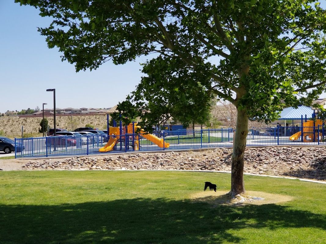 Lone Mountain Regional Park